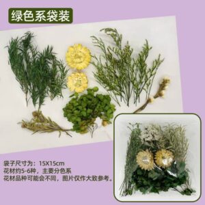 Mélange de Fleurs Séchées Vert & Naturel pour DIY