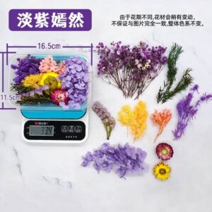 Fleurs Séchées pour Résine – Mélange Coloré