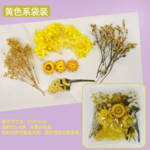 Mini bouquets de fleurs séchées jaunes naturelles