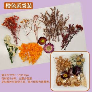 Fleurs Séchées Naturelles Mélangées Orange