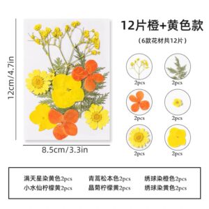 Fleurs séchées 12 pièces version orange+jaune