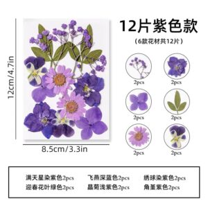 Fleurs séchées version violette