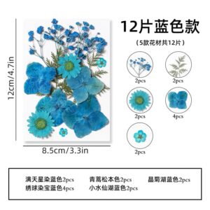 Fleurs séchées version bleue 12 pièces